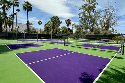 Style photo of 1332 S Beverly Drive in Palm Springs California